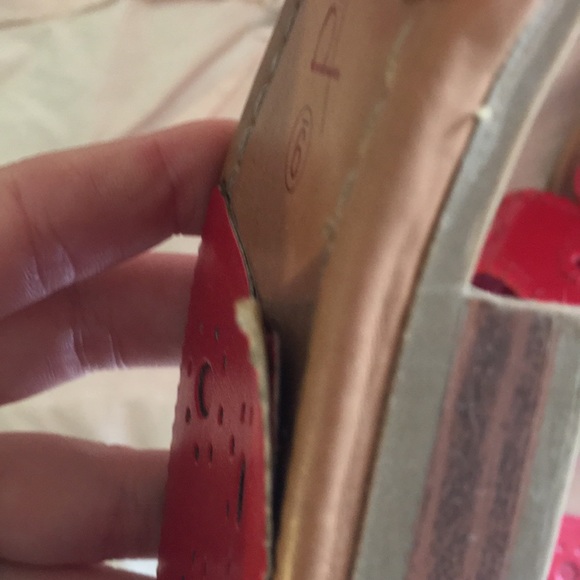 Palms red - Picture 5 of 5